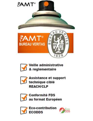 Bombe de peinture aérosol AMT fuzhou