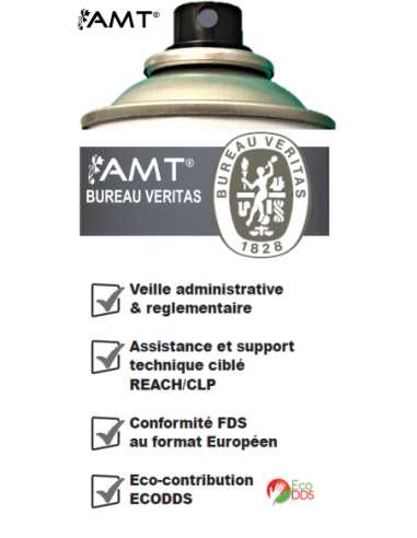 Bombe de peinture aérosol AMT gris ciment