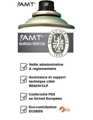 Bombe de peinture aérosol AMT gris mat