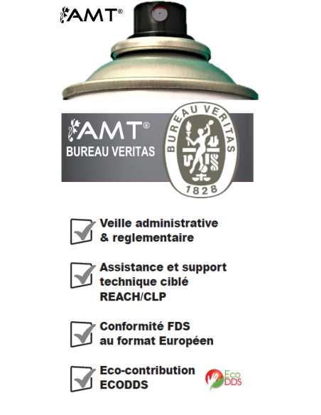 Bombe de peinture aérosol AMT gris mat