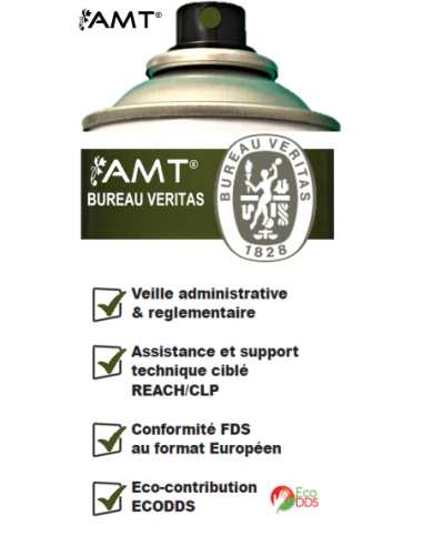 Bombe de peinture aérosol AMT jingle