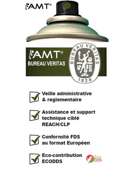 Bombe de peinture aérosol AMT jingle
