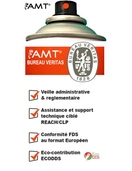 Bombe de peinture aérosol AMT mandarine