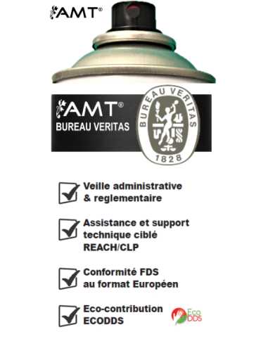 Bombe de peinture aérosol AMT noir mat