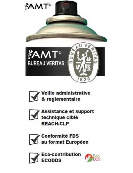 Bombe de peinture aérosol AMT noir mat