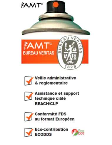 Bombe de peinture aérosol AMT orange effet fluo