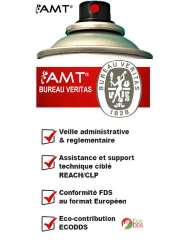 Bombe de peinture aérosol AMT rouge feu