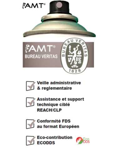 Bombe de peinture aérosol AMT taupe