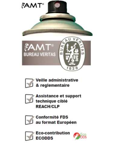 Bombe de peinture aérosol AMT taupe mat