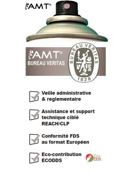 Bombe de peinture aérosol AMT taupe mat