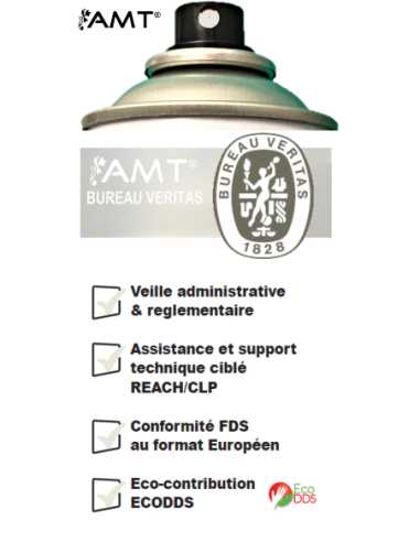 Bombe de peinture aérosol AMT vernis mat