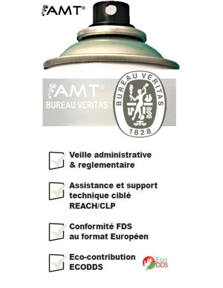 Bombe de peinture aérosol AMT vernis mat