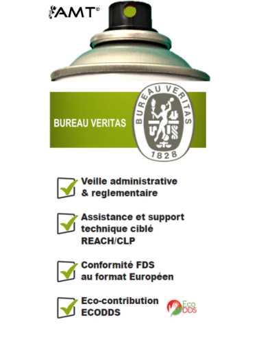 Bombe de peinture aérosol AMT vert anis