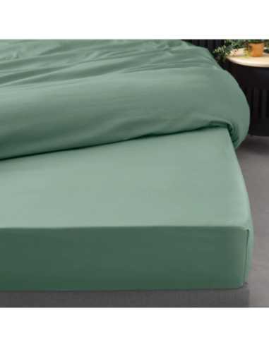 Drap-housse 160 x 200 cm Percale tilleul