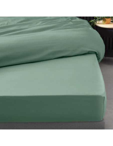 Drap-housse 160 x 200 cm Percale tilleul