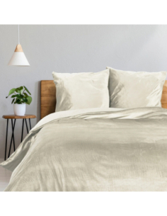 Parure de lit 3 pièces 240 x 220 cm Microfibre velours vélina ivoire
