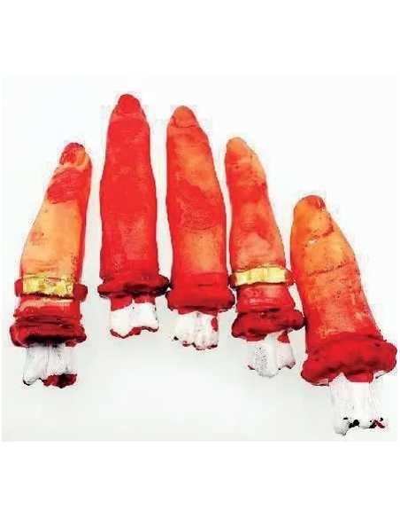 5 Doigts Humain Vinyl HALLOWEEN – Décoration macabre