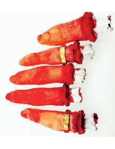 5 Doigts Humain Vinyl HALLOWEEN – Décoration macabre 2