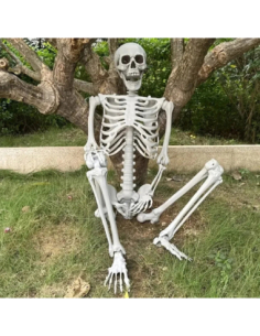 BOB Squelette Factice GM – Hauteur 160 cm – Décoration Halloween