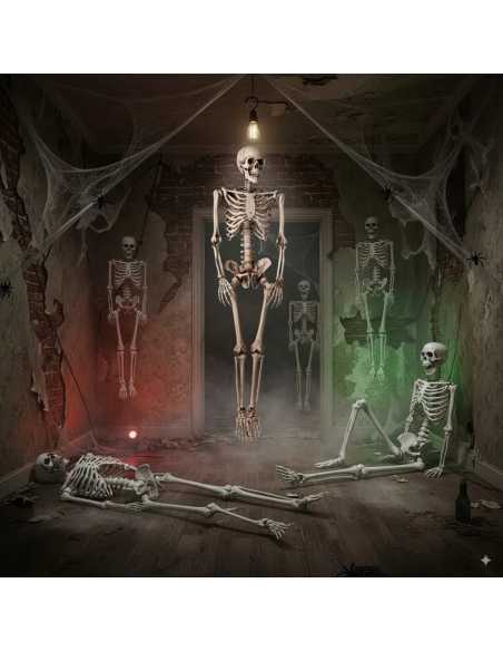 BOB Squelette Factice GM – Hauteur 160 cm – Décoration Halloween