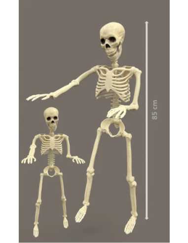 Squelette Articulé 90 cm – Décoration Halloween réaliste