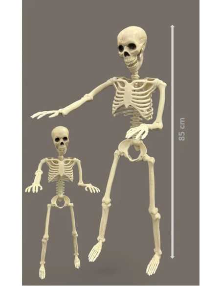 Squelette Articulé 90 cm – Décoration Halloween réaliste